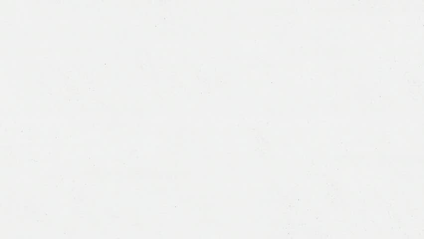 Shutterstock Video