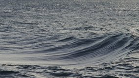 Gentle wave undulates over surface, consistent curl and foam trail under soft sunset sky - Powered by Shutterstock - Get 15% off with code: PIKWIZARD15