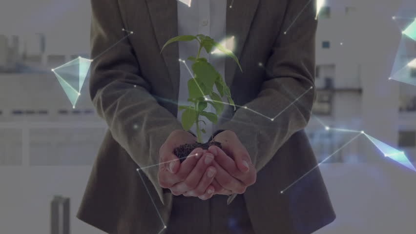 Team holding sapling, hands stacking, network morphing into rotating globe driving green growth. Sustainability, collaboration, innovation, digital, eco, teamwork, modern