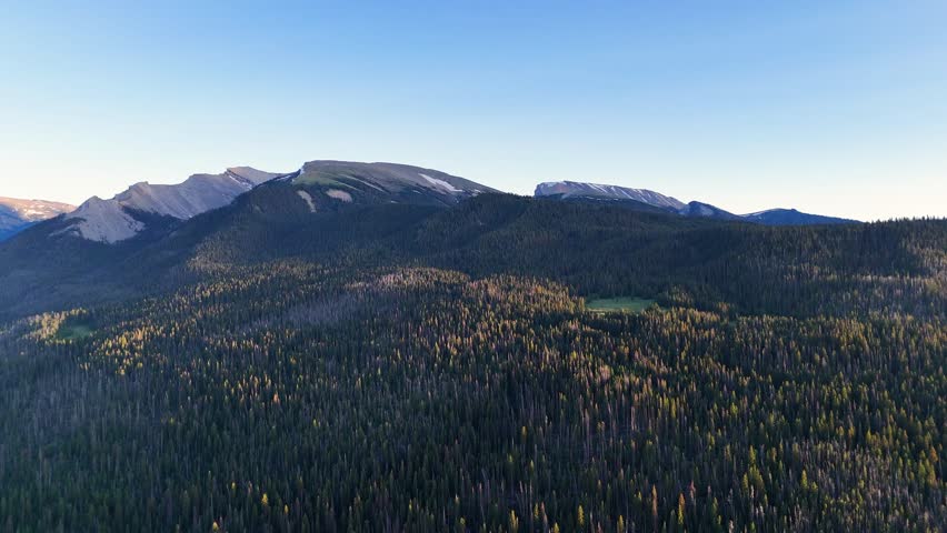 Aerial drone view of vast mountain range and dense evergreen forest in West Virginia under clear sky, showcasing untouched natural beauty and peaceful wilderness in warm daylight