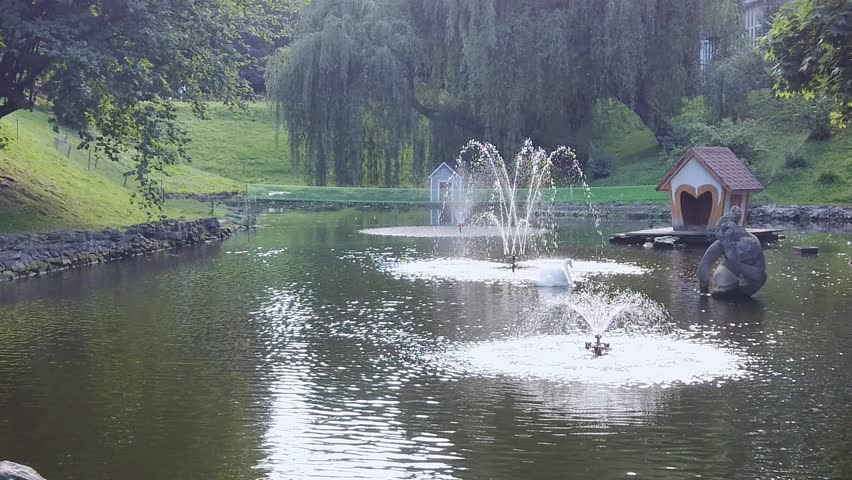Summer landscape in Stryisky public park with lake and swimming mute swans. Tranquil scene with pond, fontaine and white swan in Lviv, Ukraine. Slow motion scenic