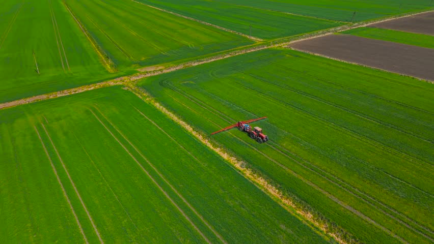Tractor spraying on large green wheat field. Farm vehicle treating wide cereal crop area. Agricultural machine applying chemicals over expansive farmland