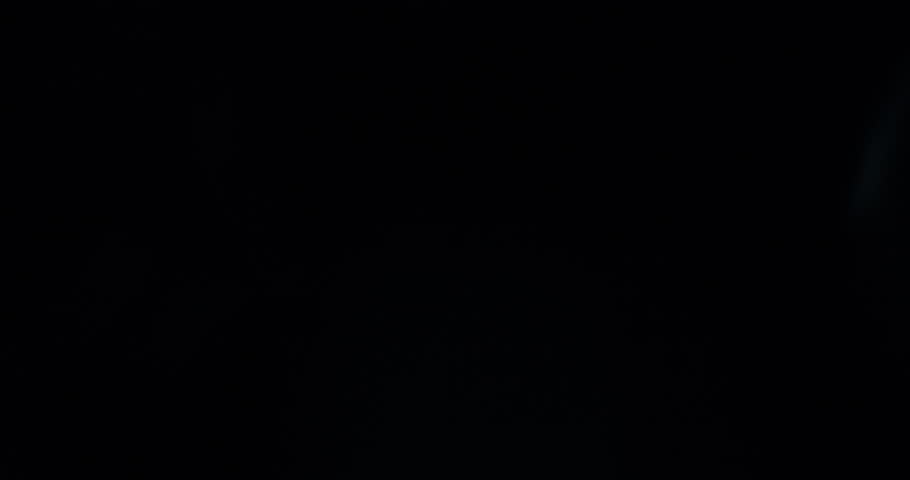 Shutterstock Video