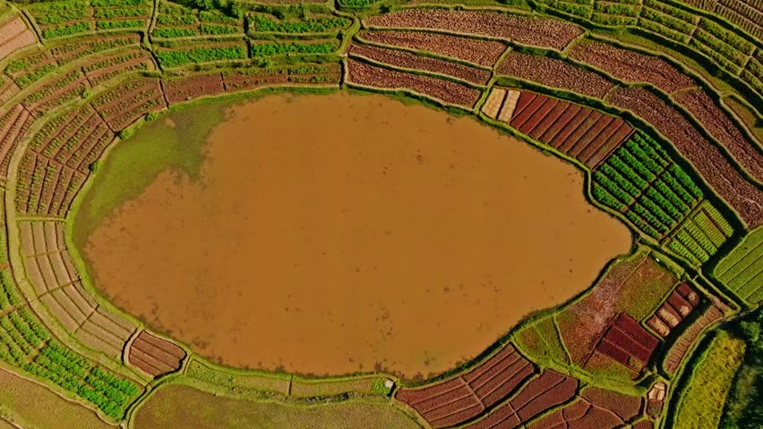 Drone shot of a vibrant patchwork of terraced agricultural fields surrounding an irrigation pond, capturing the traditional farming landscape of Madagascar.