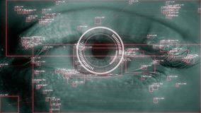 Blue digital eye with red biometric data. Future innovation face identification hi-tech technology. Total surveillance and retina ID concept - Powered by Shutterstock - Get 15% off with code: PIKWIZARD15