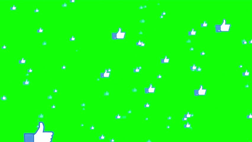 Shutterstock Video