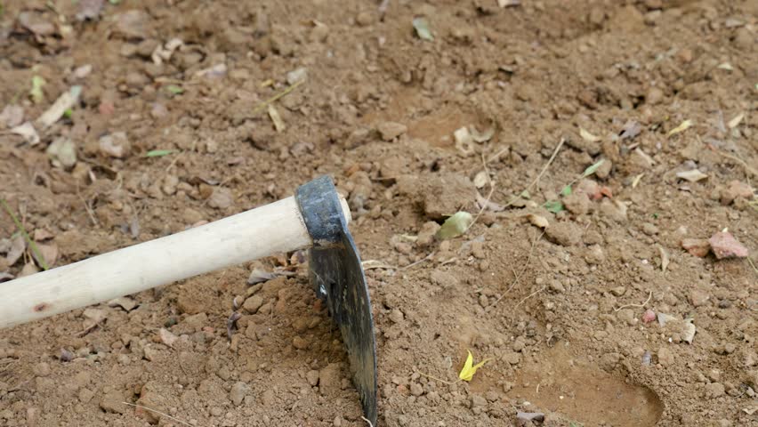 traditional farming tool hoe in loose ploughed soil at farmland outdoor