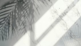 Palm leaf shadow on marble surface with sunlight - Powered by Shutterstock - Get 15% off with code: PIKWIZARD15
