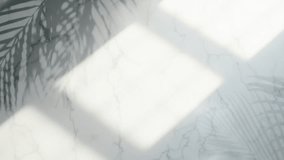 Palm leaf shadow on marble surface with sunlight - Powered by Shutterstock - Get 15% off with code: PIKWIZARD15