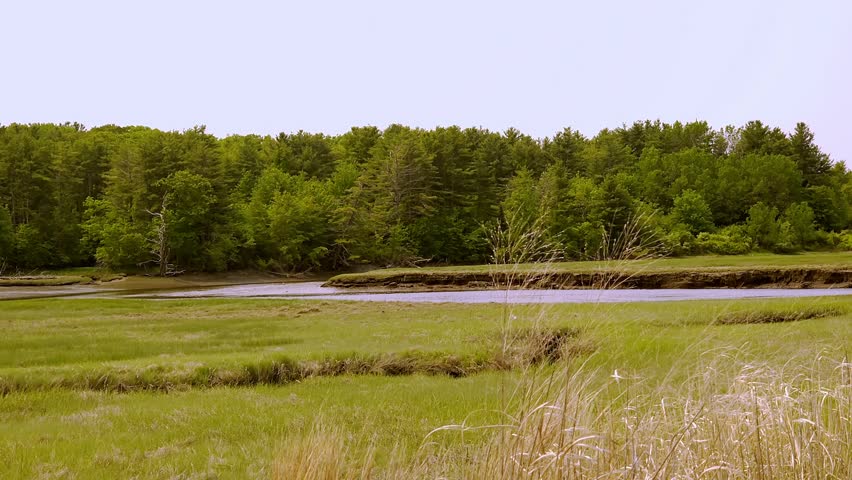 Scarborough, Maine salt marsh home to a variety of birds. Which brings bird watchers to the peaceful waters