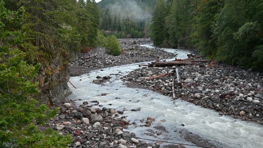 Aerial drone view of rocky riverbed winding through dense forest in overcast wilderness