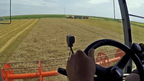 Hands grip the wheel and joystick, steering the combine toward a waiting tractor with empty trailers. A rightward pan shows cut stalks and a sunflower field in bloom, contrasting the golden wheat. - Powered by Shutterstock - Get 15% off with code: PIKWIZARD15