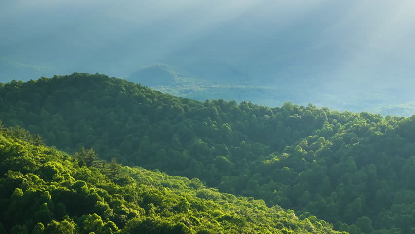 Beautiful morning nature of North Carolina Appalachian mountains, USA. Great Smokey Mountains in summer season