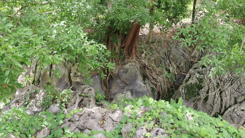Klong Hin Dam River, natural black stone tunnel