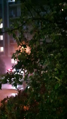 thunderstorm in the city, heavy rain with lightning, large drops on tree leaves and asphalt