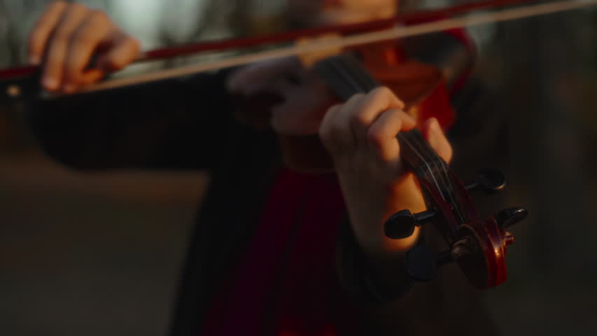 Close-up, little girl playing violin in autumn park at sunset