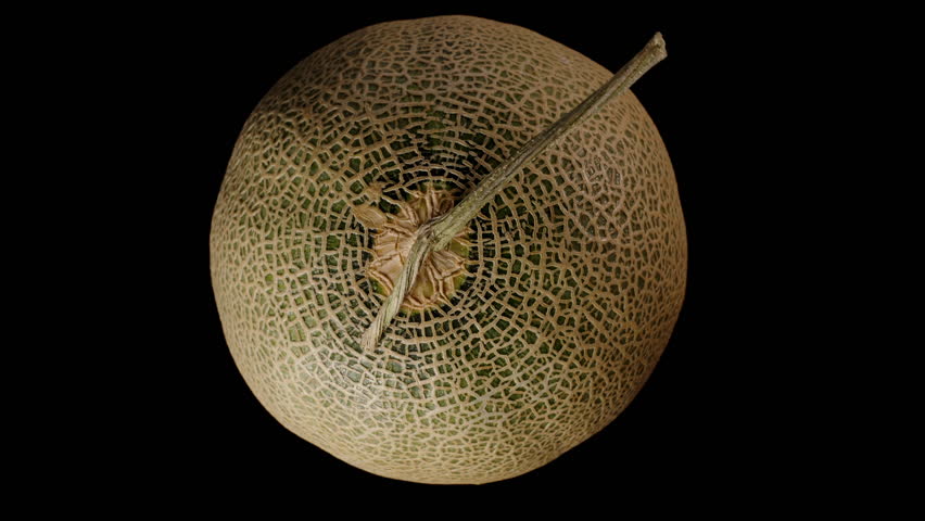 Two Hands Separating a Whole Cantaloupe to Reveal the Juicy Orange Interior and Seed Cavity of the Halved Fruit in Close-Up with Dark Background.