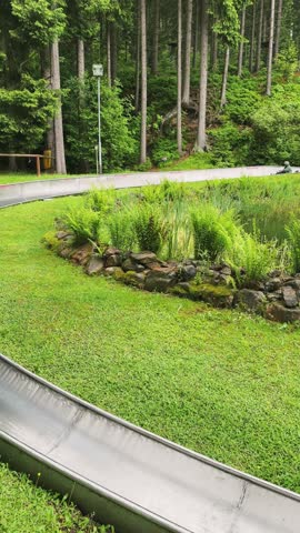 Young child enjoys summer toboggan slide in vibrant green forest