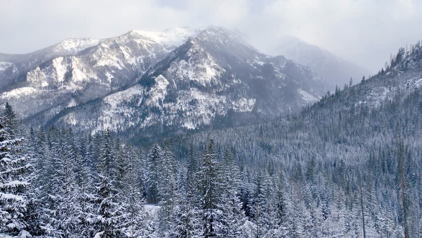 snowy white Christmas in the forest, idyllic Christmas landscape in Tatra mountains, drone view of a snowy forest with pines and beautiful snow-capped mountains, ski holiday. High quality 4k footage