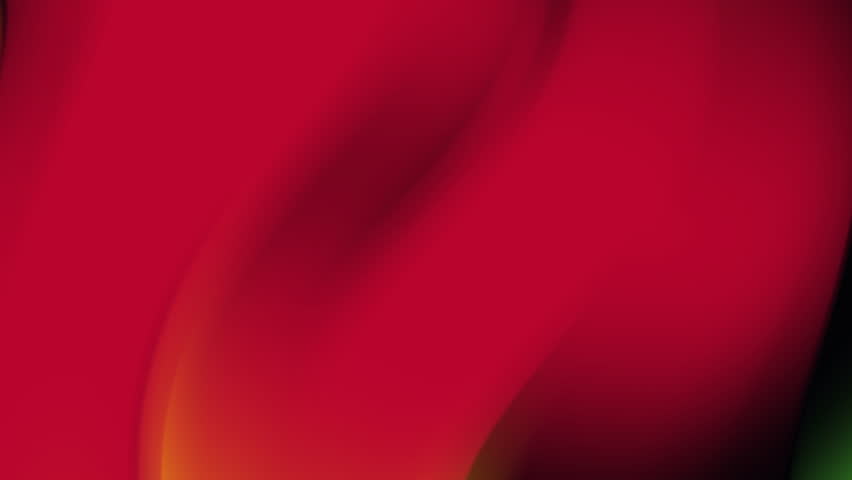 Shutterstock Video