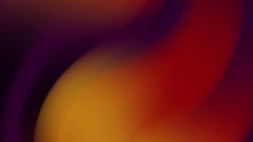 Shutterstock Video