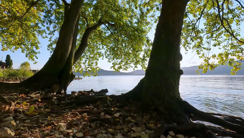 beach on Lake Maggiore in the shade of the trees