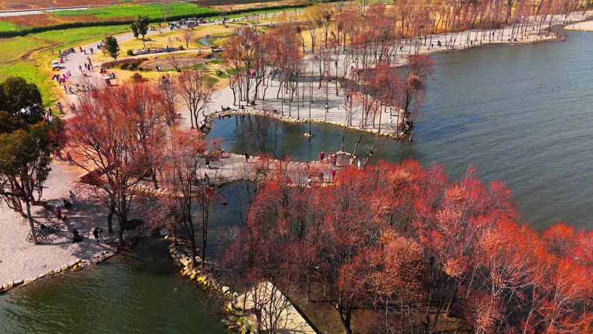A vibrant drone shot captures tourists reveling by the lakeside under a boundless blue sky—colorful kayaks slice through crystal waters