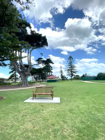 A beautiful landscape featuring a vast open field covered with green grass, illuminated by warm sunlight on a bright and clear day. Trees and various plants thrive under the golden rays