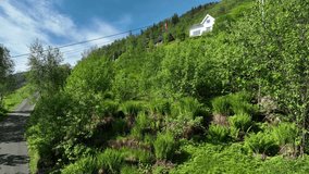 Drone ascends toward Norway flag with grid power lines in foreground, symbolizing energy debate issue - Powered by Shutterstock - Get 15% off with code: PIKWIZARD15