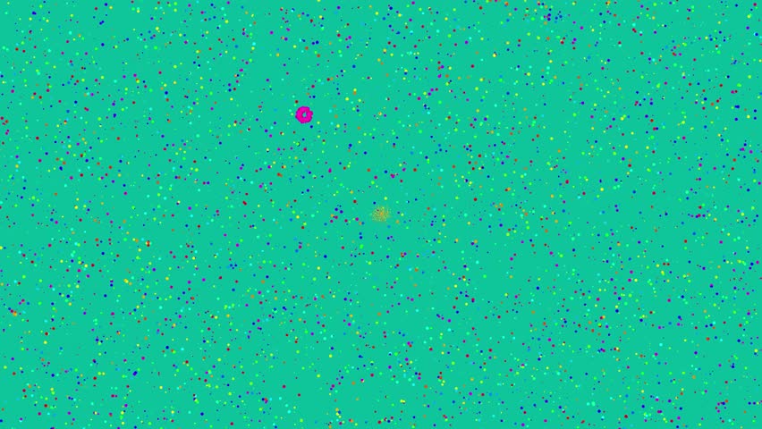 Big text with the word WE ARE RAINBOW 