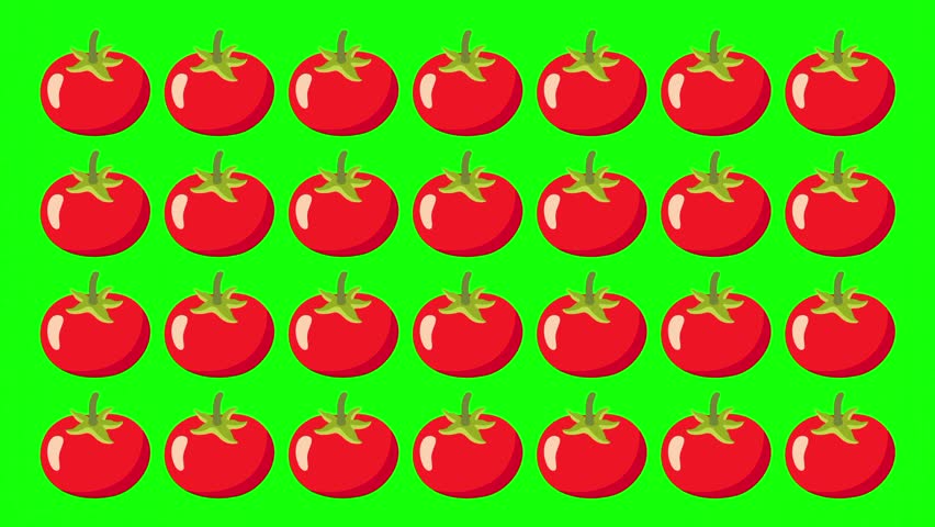 Animated red tomato vegetable vector shapes, seamless patterns, ornamental theme, icon, symbol. Multiple item design element. Motion graphic video, isolated animation green screen background - Powered by Shutterstock - Get 15% off with code: PIKWIZARD15