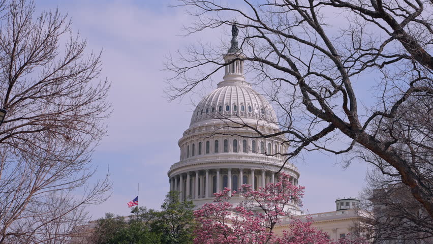 Government Building Dome with Cherry Blossoms