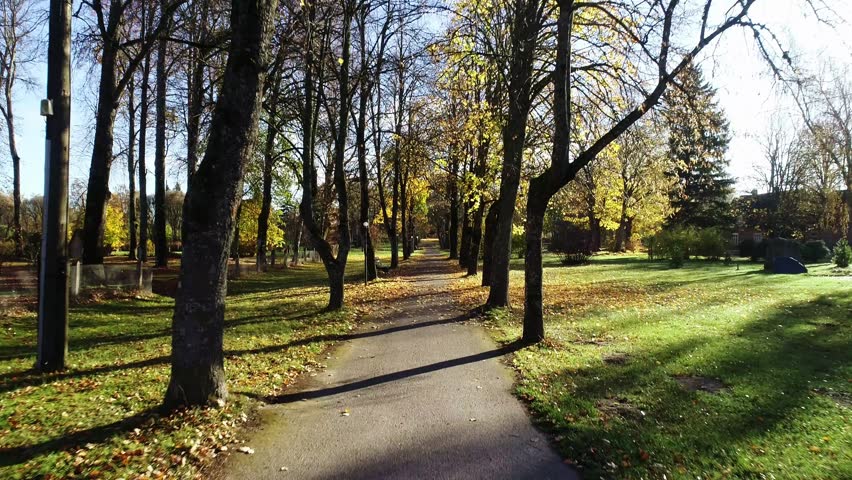 Drone glides above leaf-covered path through autumn trees in Rucava Latvia park