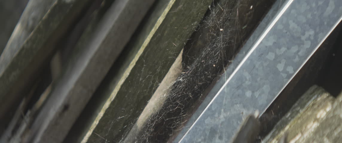 Old dusty cobweb details close-up 5.7K scope video