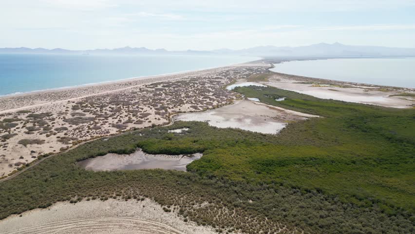 Coastal mangrove and desert dunes at El Mogote, La Paz, Baja California Sur, Mexico
