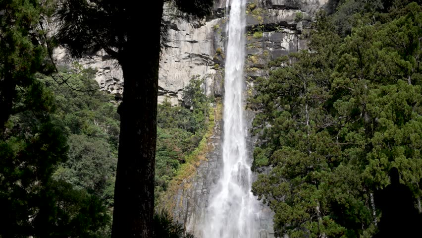 Nachi Falls creates a stunning spectacle as it plunges down a rocky cliff face, surrounded by the vibrant green foliage of a dense forest in Nachikatsuura, Japan