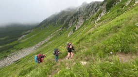 Three hikers ascend steep, grassy mountainside, trekking poles aiding climb. Rugged cliffs and lush, green slopes create stunning backdrop, partially shrouded in mist. - Powered by Shutterstock - Get 15% off with code: PIKWIZARD15