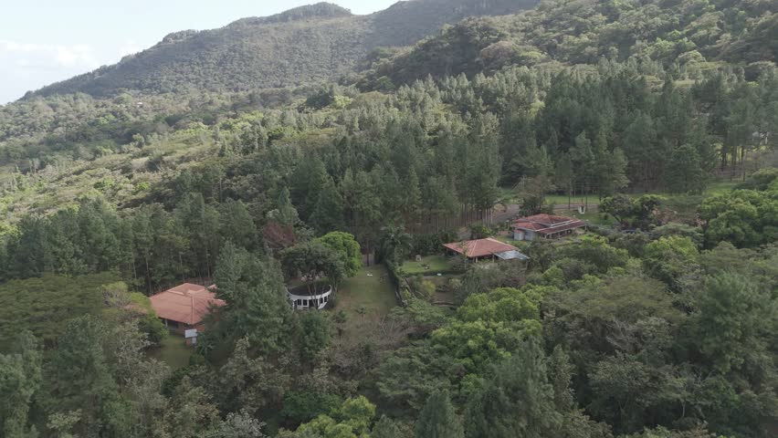 Scenic hillside homes with red roofs in lush green surroundings viewed from an aerial forest perspective