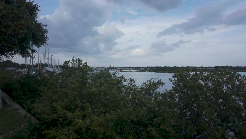 A wide shot of Florida marshland and calm water under soft, overcast clouds. Coastal vegetation in the foreground with a peaceful, natural vibe.
