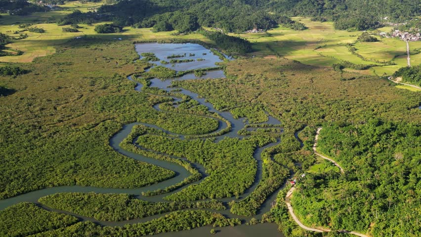 Idyllic aerial pullback of lush mangrove forest and winding rivers amid tropical island valley at Catanduanes, Bicol, Philippines