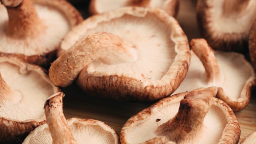 Healthy and fresh tasty vegetables Shiitake mushrooms 