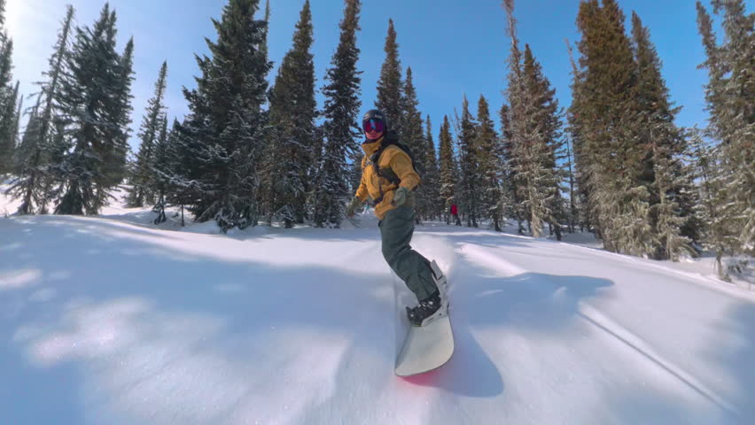 Freeride snowboarder carving through snow covered trees in backcountry forest with dynamic movement high speed turns powder spray and extreme mountain winter adventure