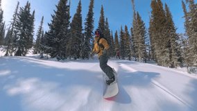 Freeride snowboarder carving through snow covered trees in backcountry forest with dynamic movement high speed turns powder spray and extreme mountain winter adventure - Powered by Shutterstock - Get 15% off with code: PIKWIZARD15