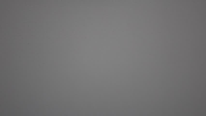Shutterstock Video