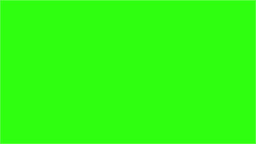 Shutterstock Video