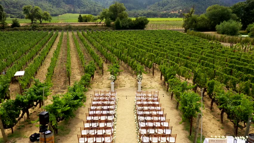 Overhead dolly of chairs for wedding by organized vineyard rows and lush vegetation at Napa winery estate