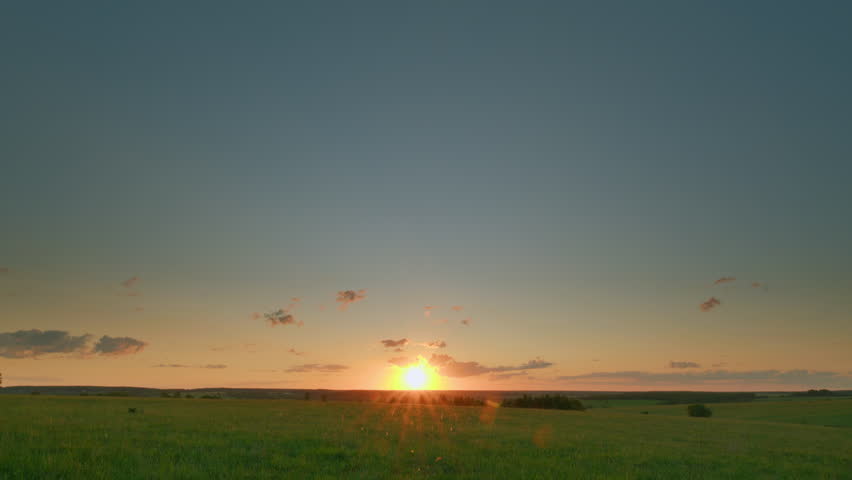 Shutterstock Video