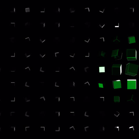 Shutterstock Video