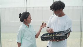 Youth working together in a greenhouse to grow and care for leafy greens. A diverse team of farmers and students engaged in sustainable agriculture. - Powered by Shutterstock - Get 15% off with code: PIKWIZARD15