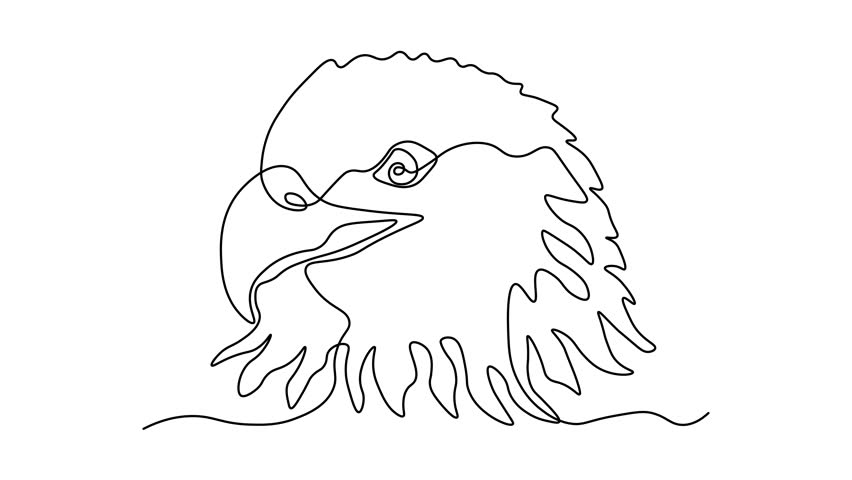 Abstract head of a bird of prey, an eagle, Self drawing animation one continuous line draw, logo
